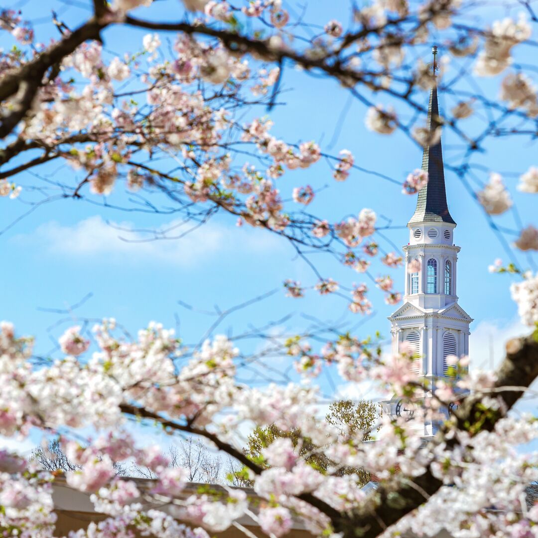 chapel steeple with spring foliage