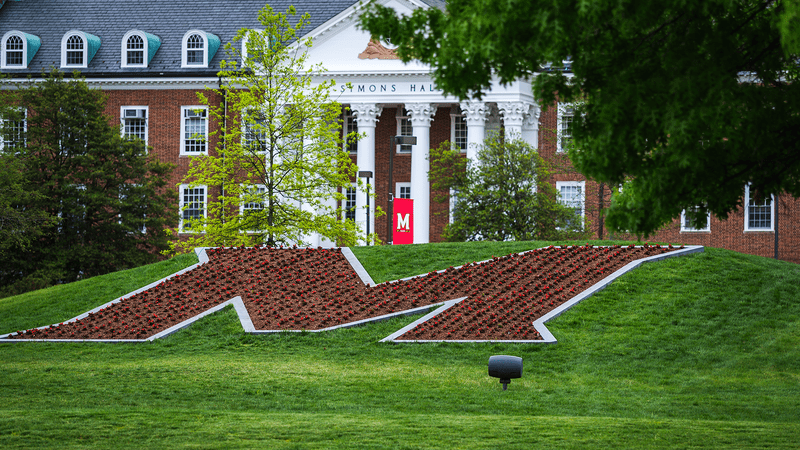 View of The M planted with red flowers, with Symons Hall in the background.